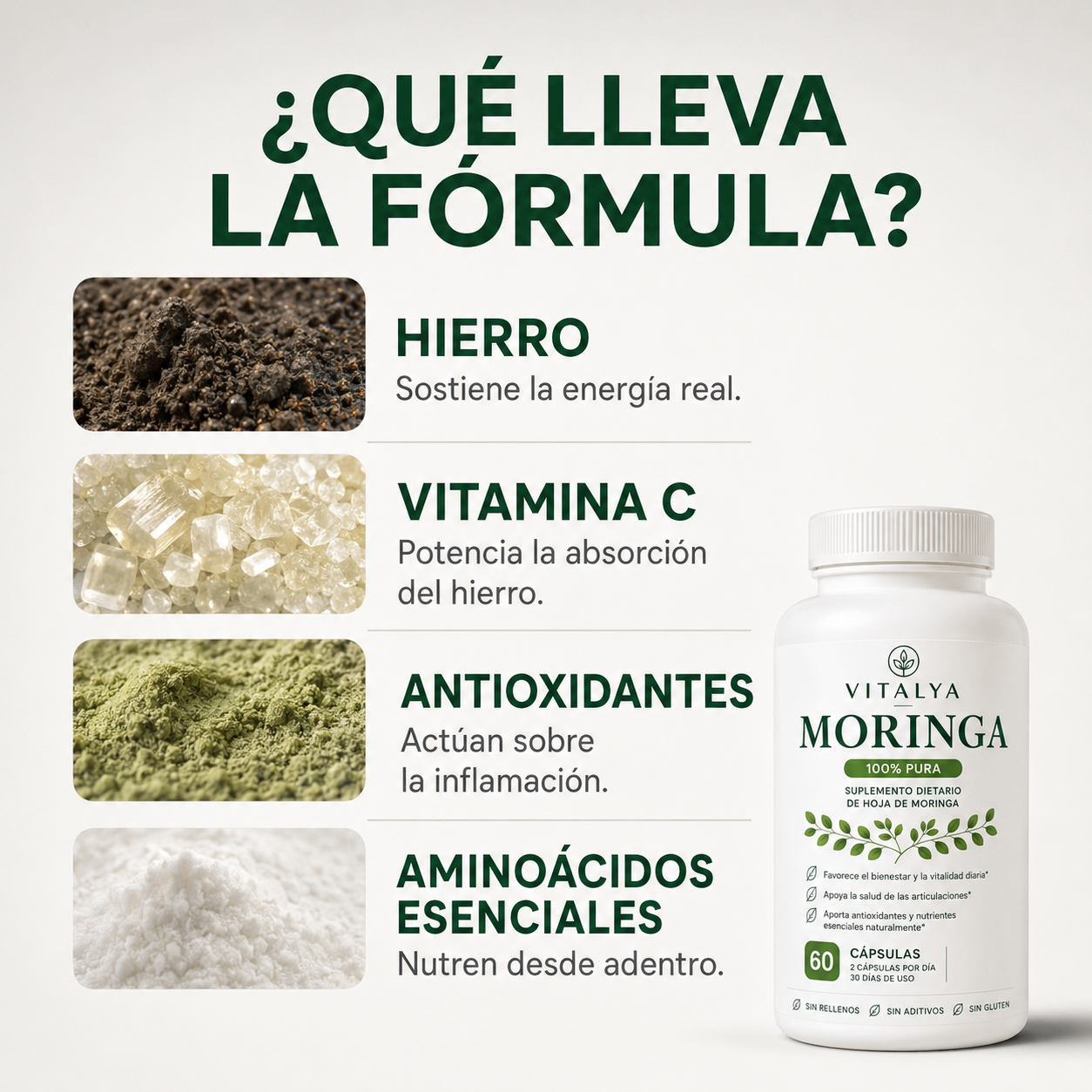 VITALYA™ Moringa — 60 Cápsulas | Energía, Bienestar Articular y Defensas