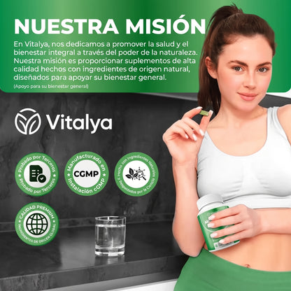 VITALYA™ Moringa — 60 Cápsulas | Energía, Bienestar Articular y Defensas